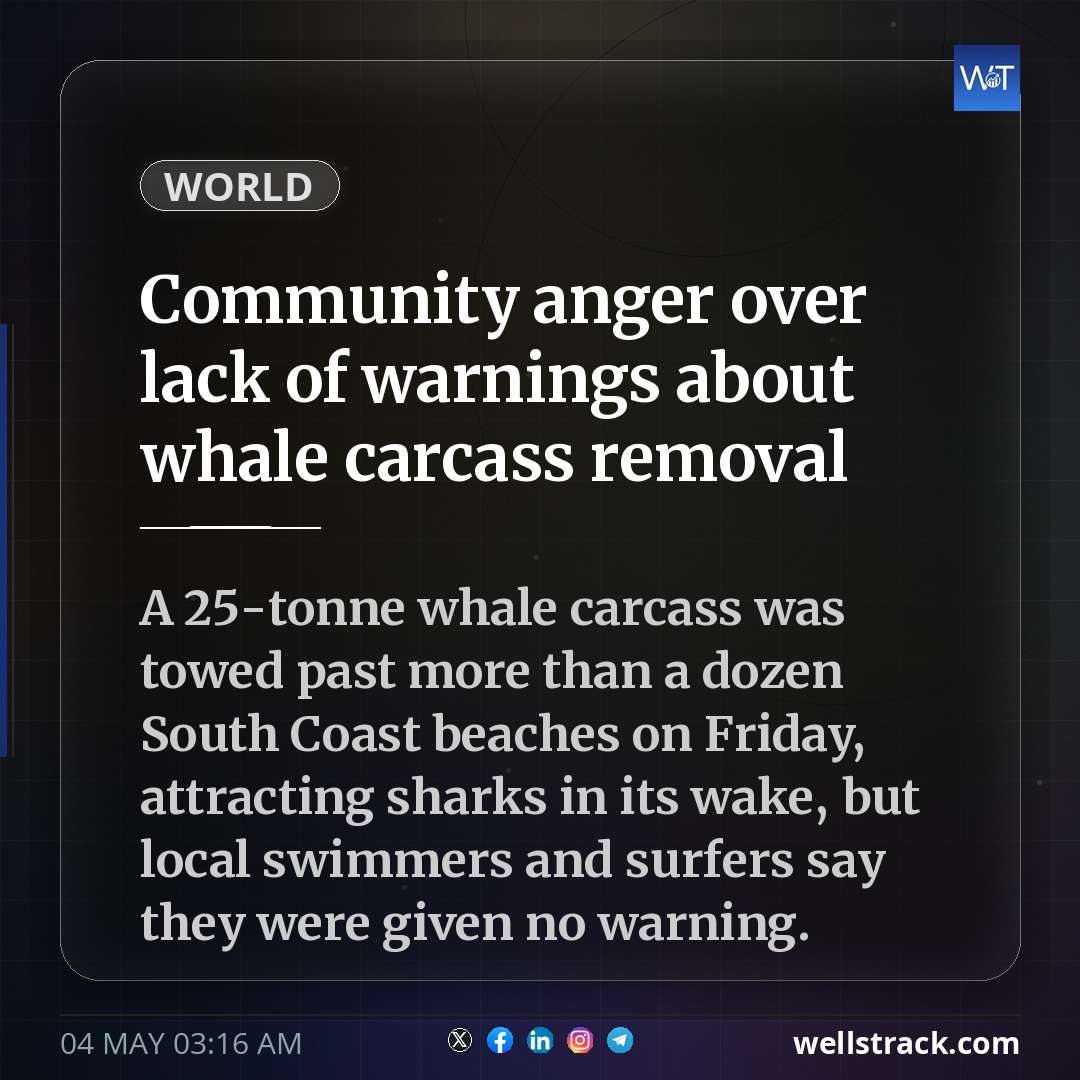 Community anger over lack of warnings about whale carcass removal