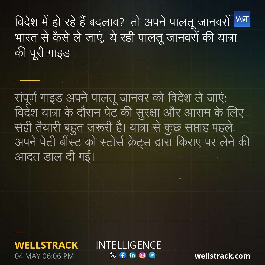 Social Insight