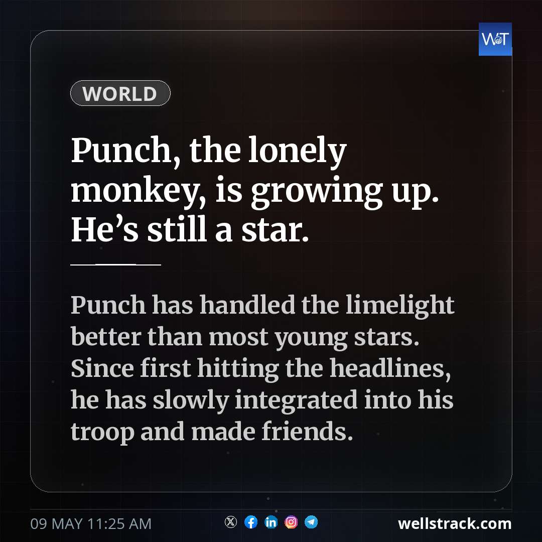 Social Insight