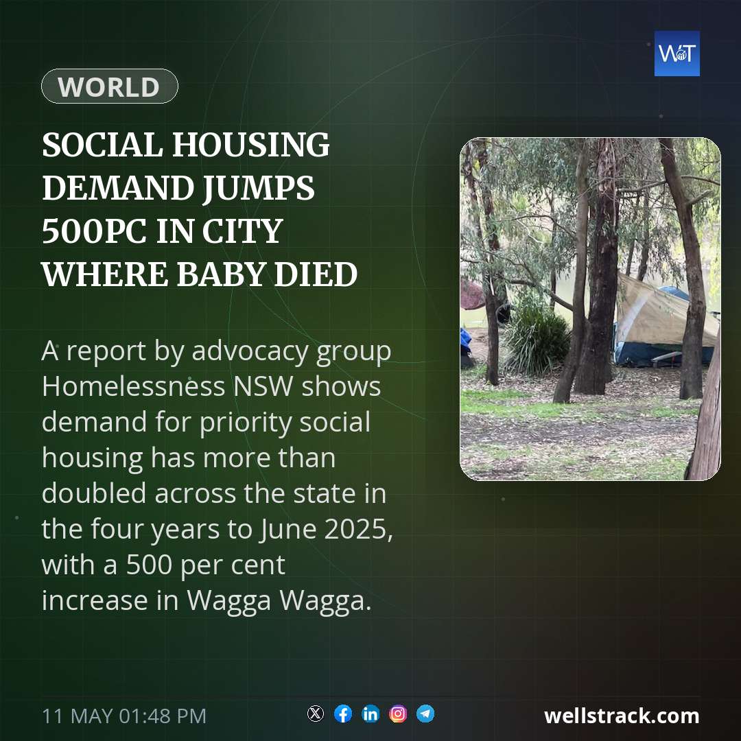 Social Insight