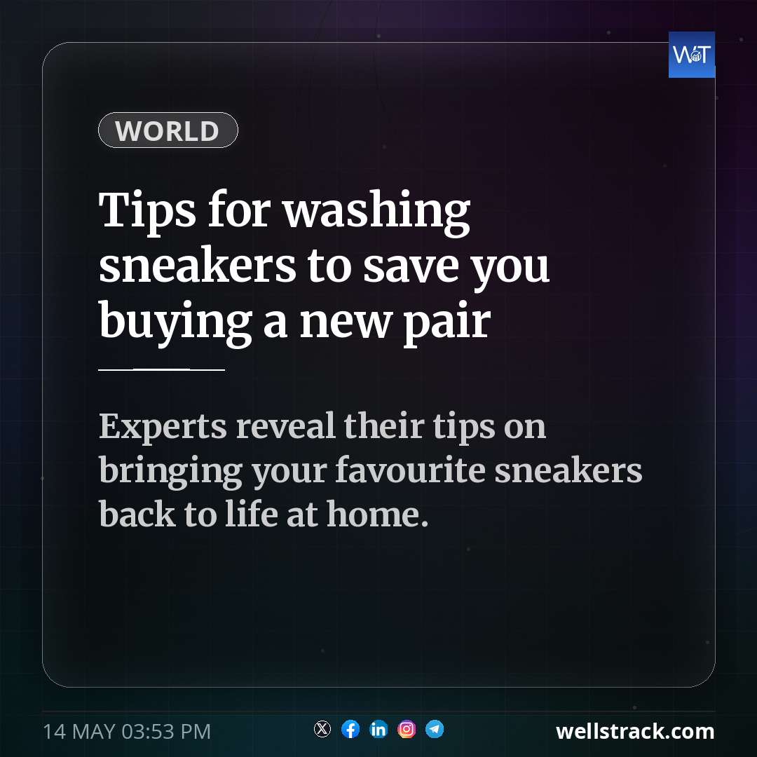 Social Insight