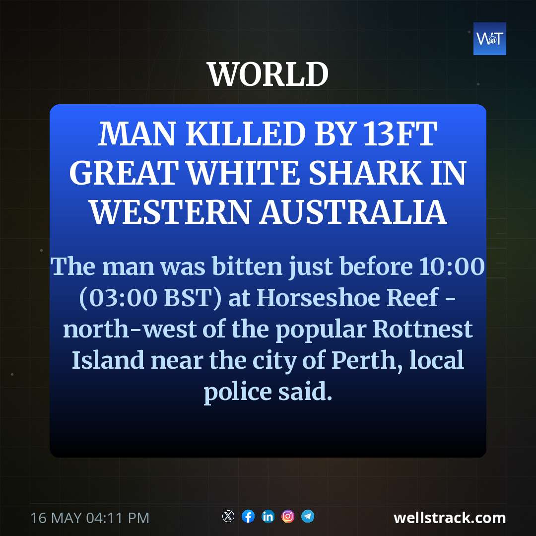 Man killed by 13ft great white shark in Western Australia — WellsTrack