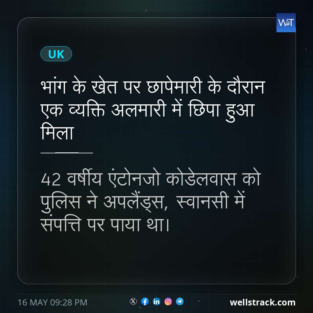 भांग के खेत पर छापेमारी के दौरान एक व्यक्ति अलमारी में छिपा हुआ मिला — WellsTrack