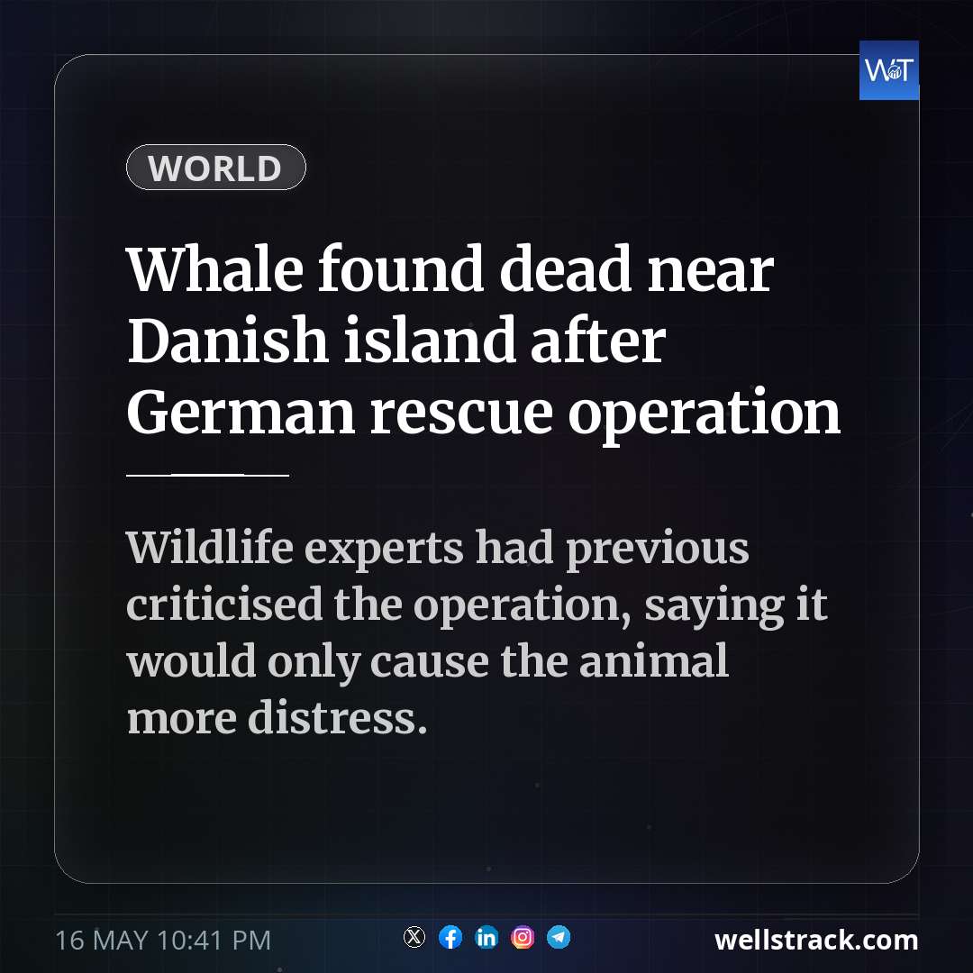 Whale found dead near Danish island after German rescue operation