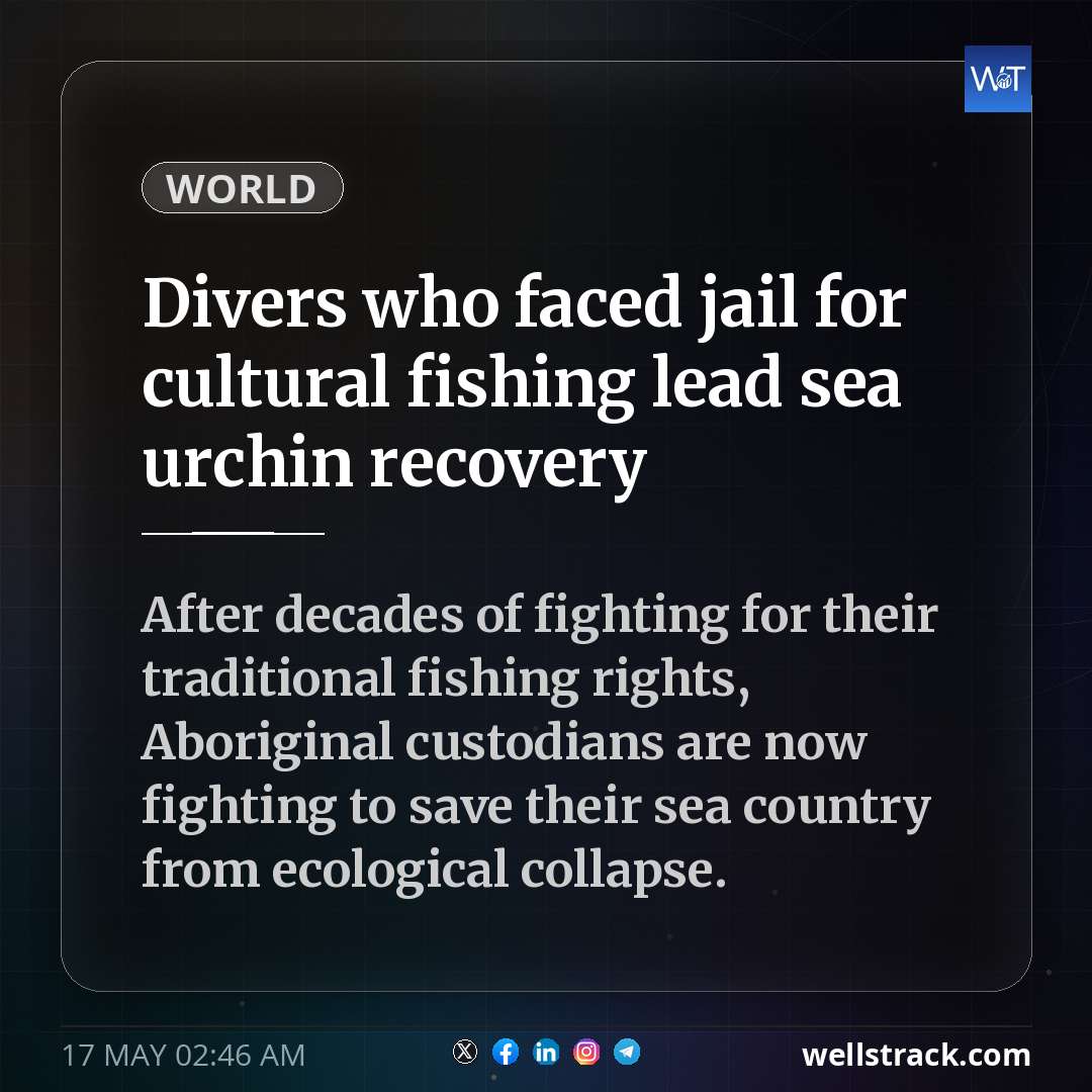 Divers who faced jail for cultural fishing lead sea urchin recovery — WellsTrack