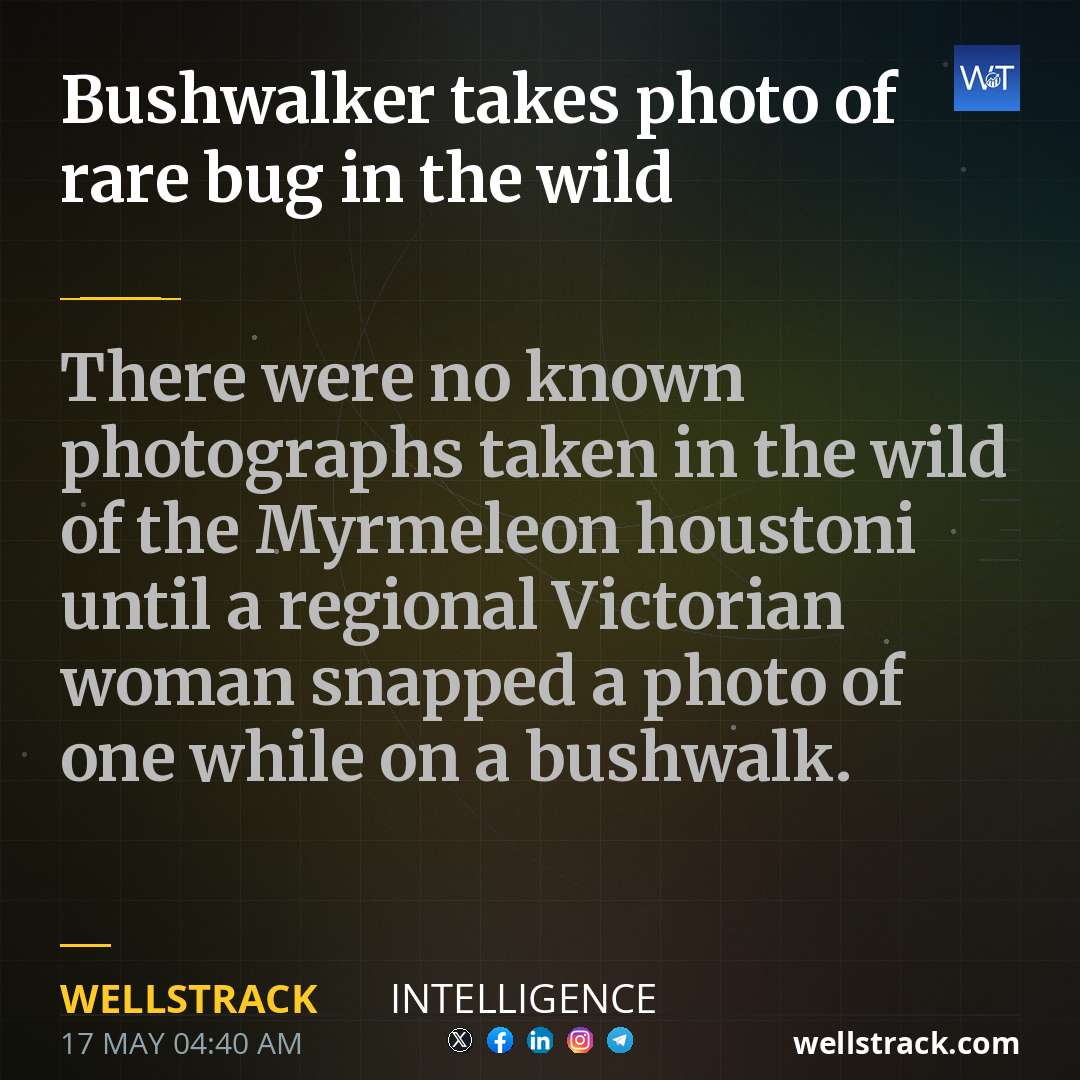Bushwalker takes photo of rare bug in the wild — WellsTrack