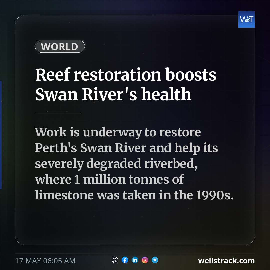 Reef restoration boosts Swan River's health — WellsTrack