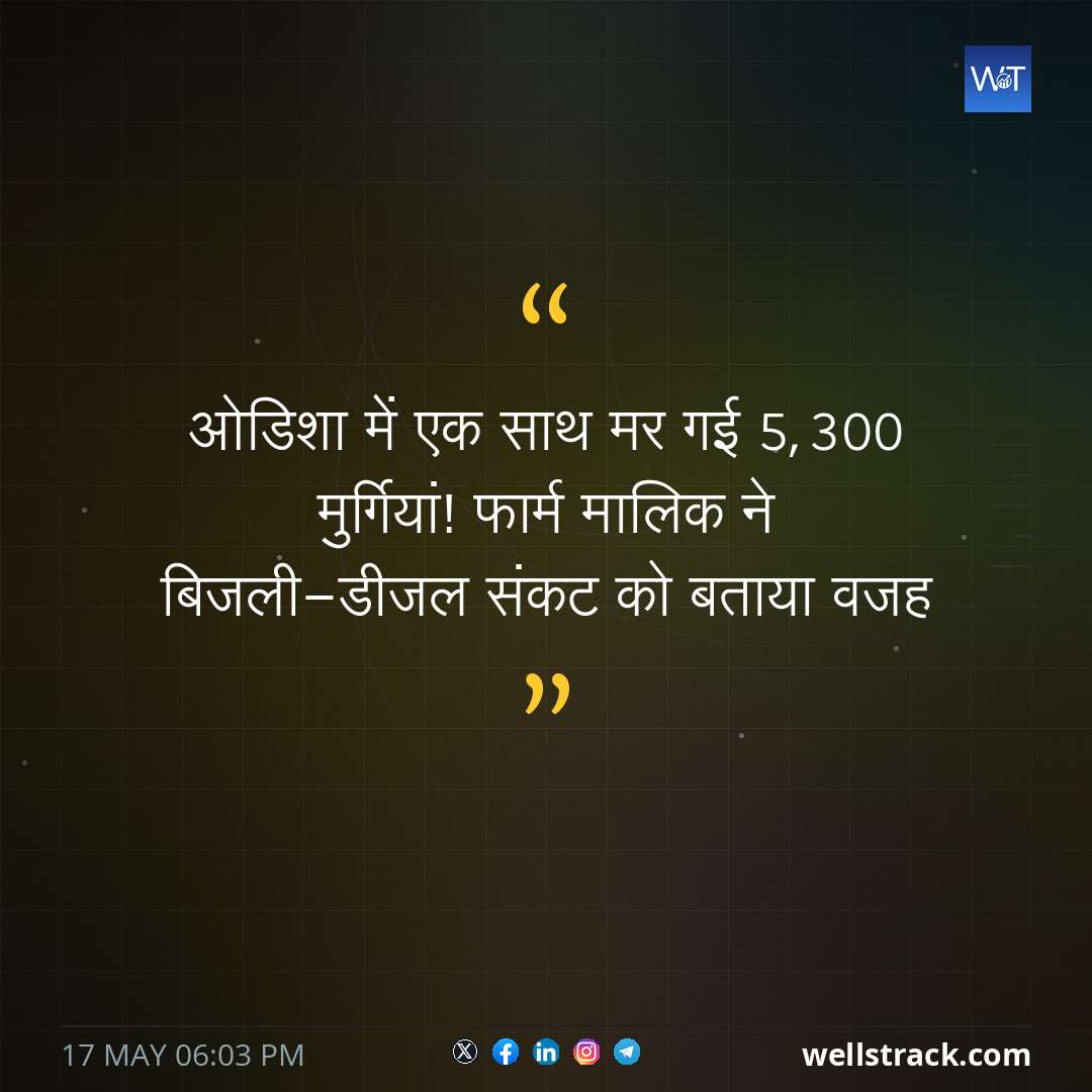 ओडिशा में एक साथ मर गई 5,300 मुर्गियां! फार्म मालिक ने बिजली-डीजल संकट को बताया वजह — WellsTrack