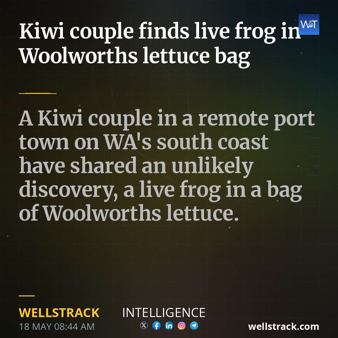 Kiwi couple finds live frog in Woolworths lettuce bag — WellsTrack