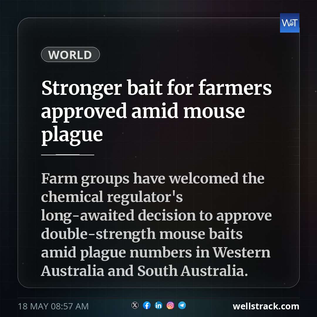 Stronger bait for farmers approved amid mouse plague — WellsTrack
