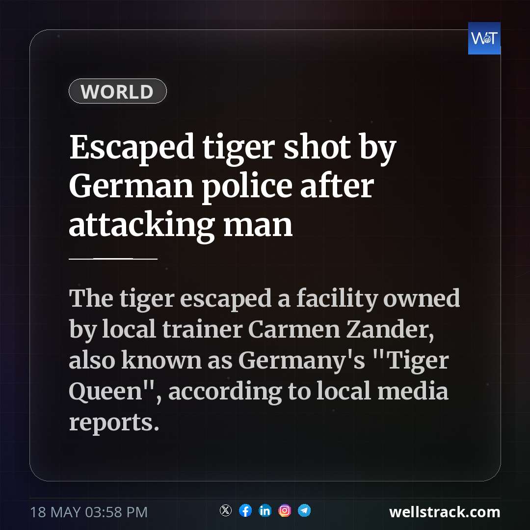 Escaped tiger shot by German police after attacking man — WellsTrack