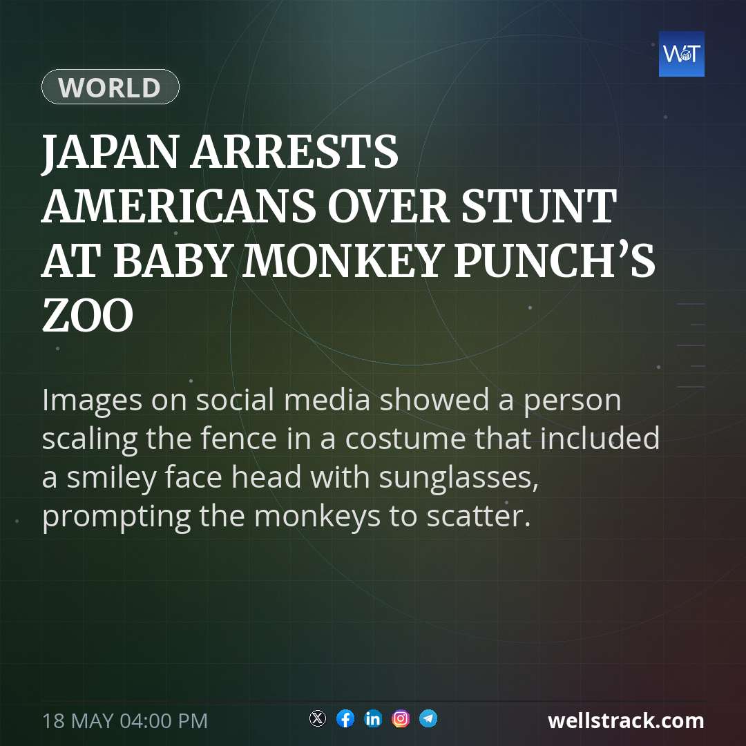 Japan arrests Americans over stunt at baby monkey Punch’s zoo — WellsTrack