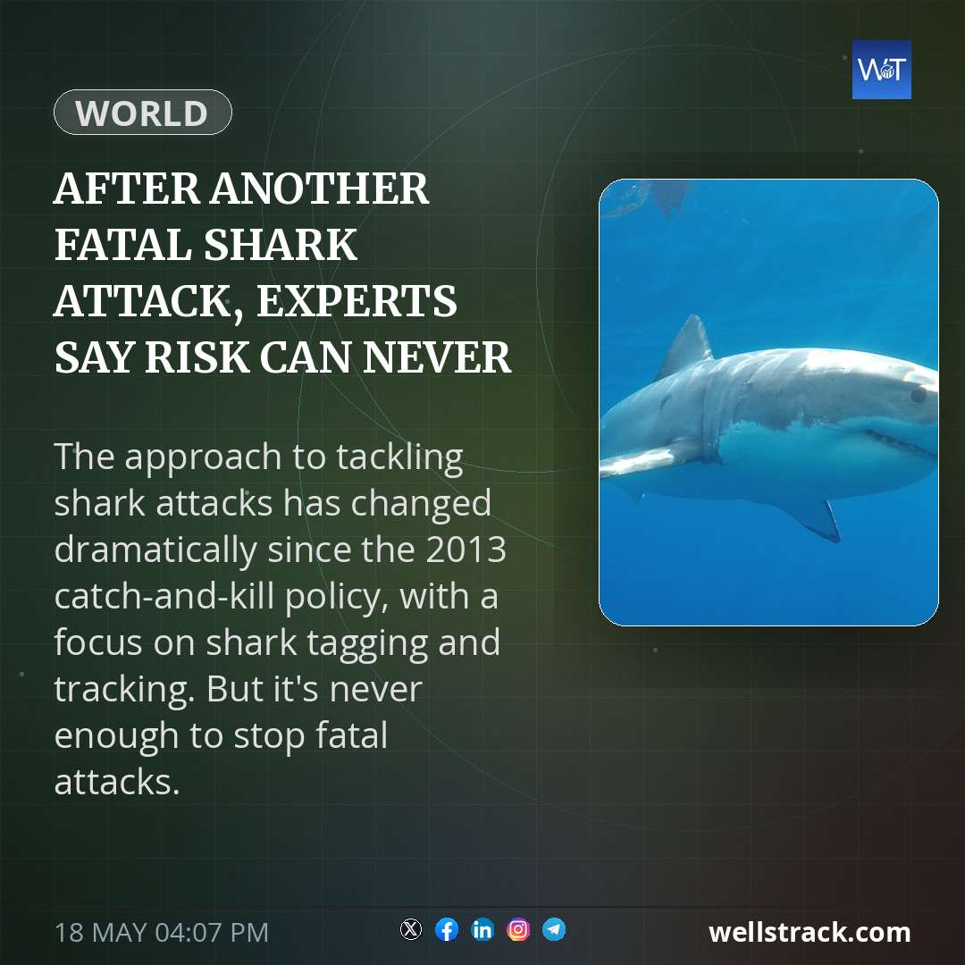 After another fatal shark attack, experts say risk can never be eliminated — WellsTrack