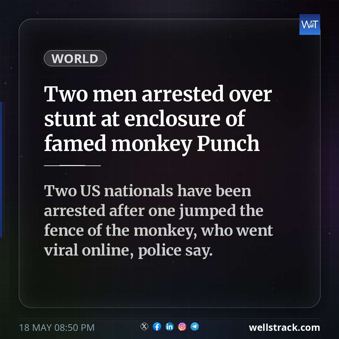 Two men arrested over stunt at enclosure of famed monkey Punch — WellsTrack