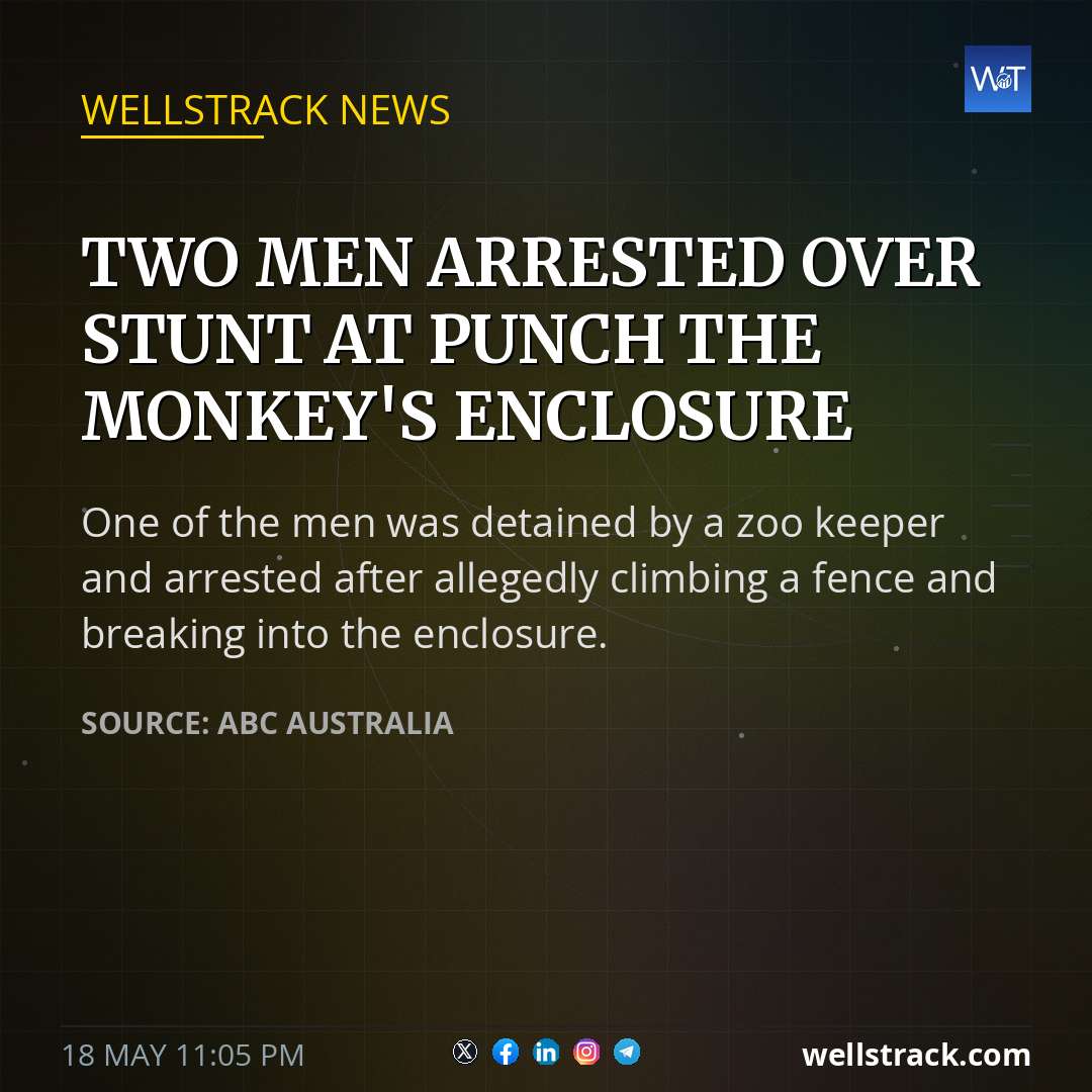 Two men arrested over stunt at Punch the monkey's enclosure — WellsTrack