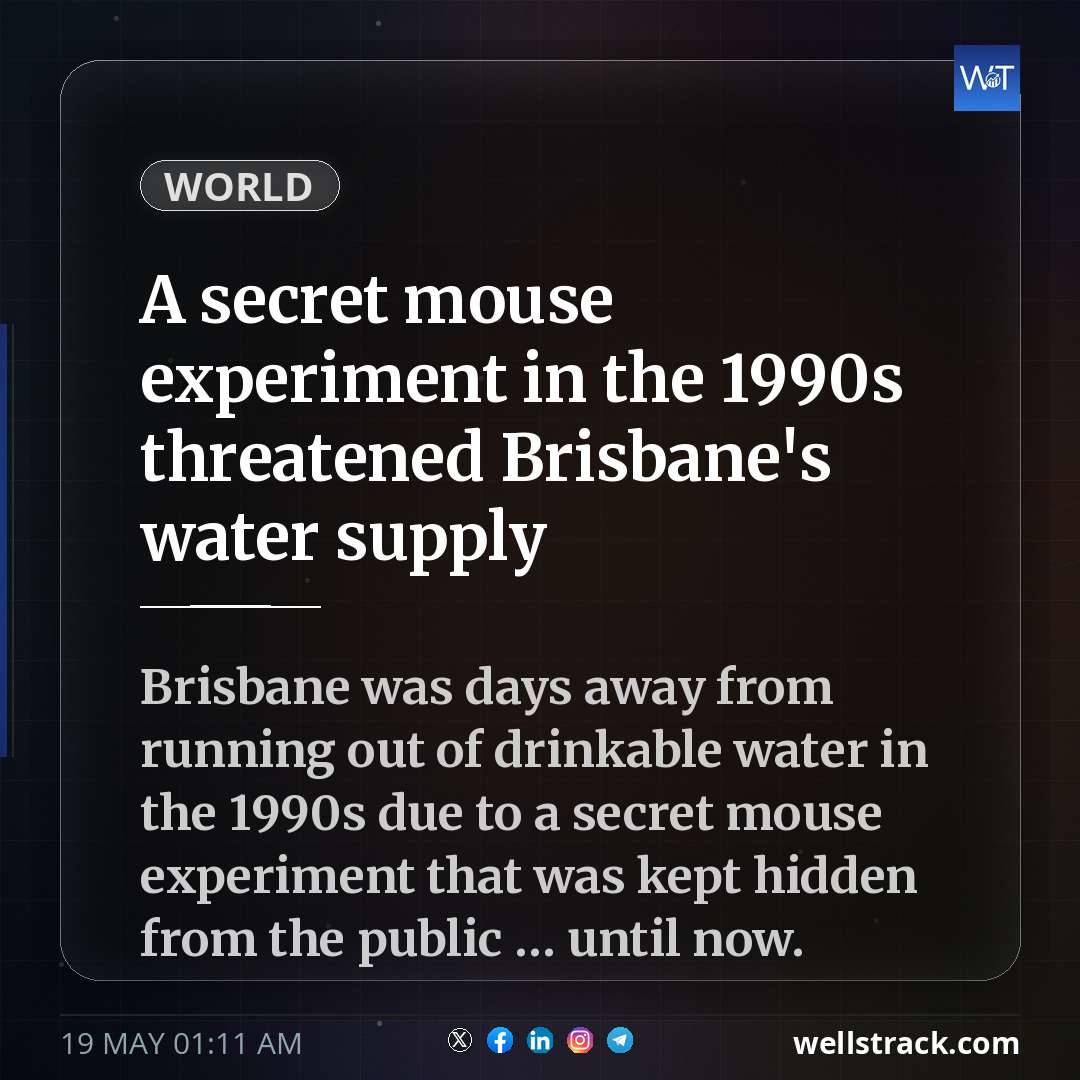A secret mouse experiment in the 1990s threatened Brisbane's water supply — WellsTrack
