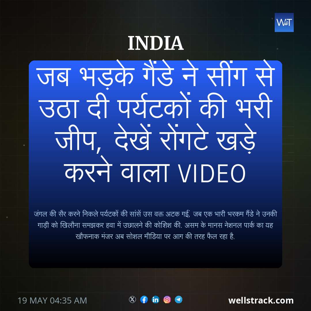 जब भड़के गैंडे ने सींग से उठा दी पर्यटकों की भरी जीप, देखें रोंगटे खड़े करने वाला VIDEO — WellsTrack