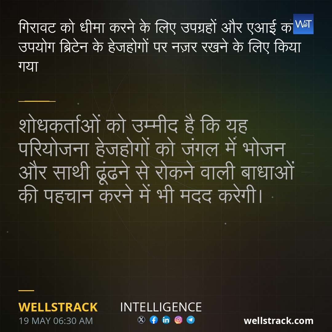 गिरावट को धीमा करने के लिए उपग्रहों और एआई का उपयोग ब्रिटेन के हेजहोगों पर नज़र रखने के लिए किया गया — WellsTrack