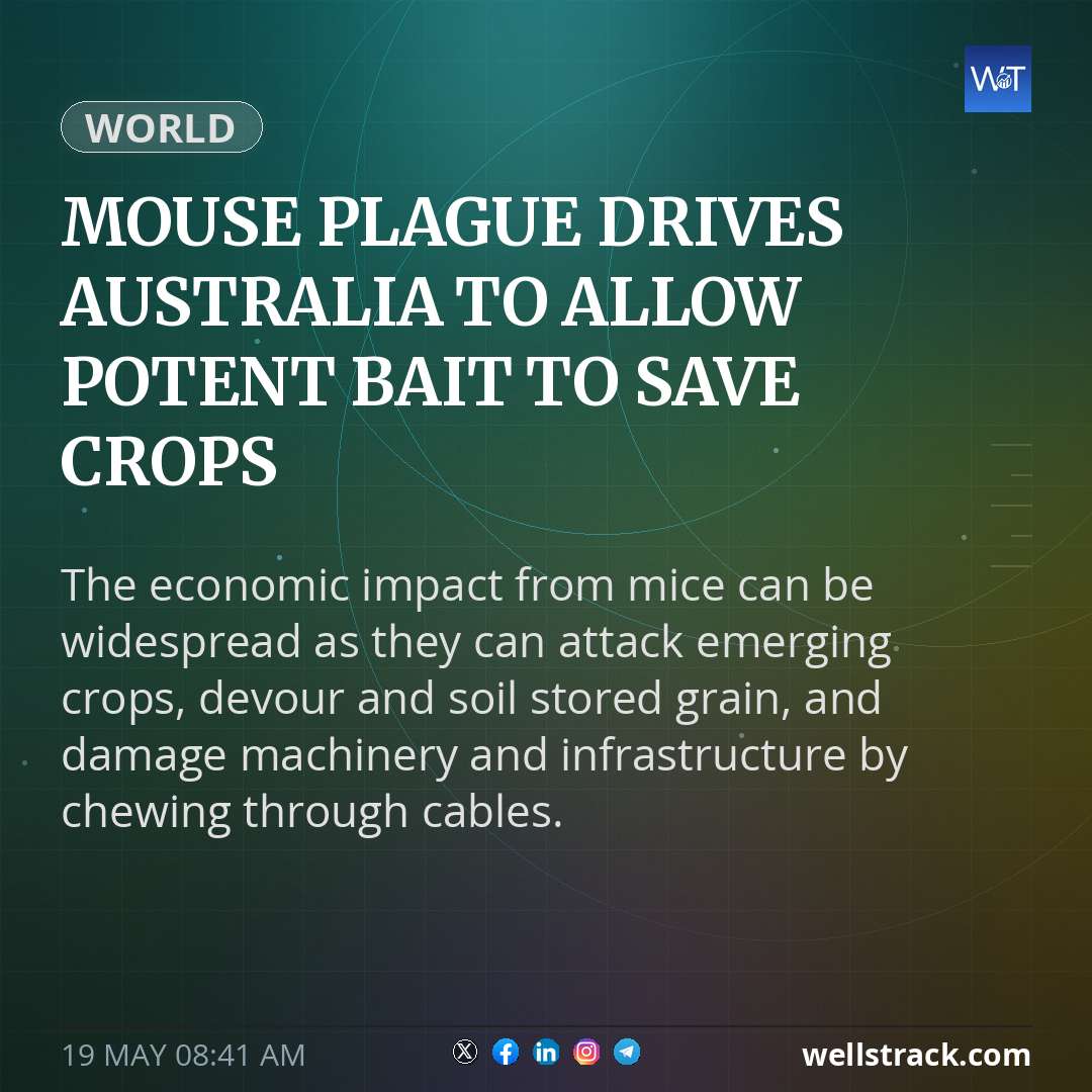 Mouse plague drives Australia to allow potent bait to save crops — WellsTrack