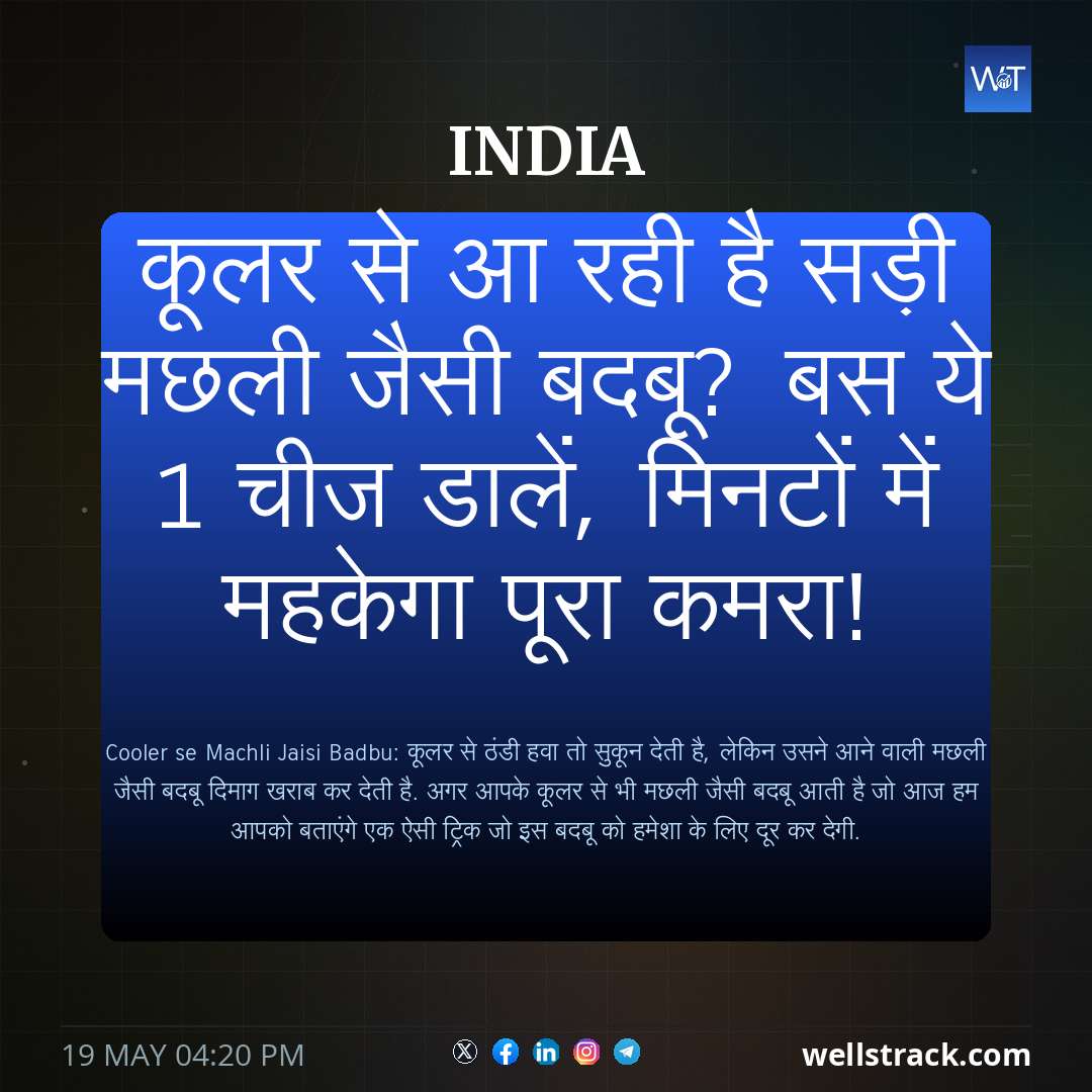 कूलर से आ रही है सड़ी मछली जैसी बदबू? बस ये 1 चीज डालें, मिनटों में महकेगा पूरा कमरा! — WellsTrack