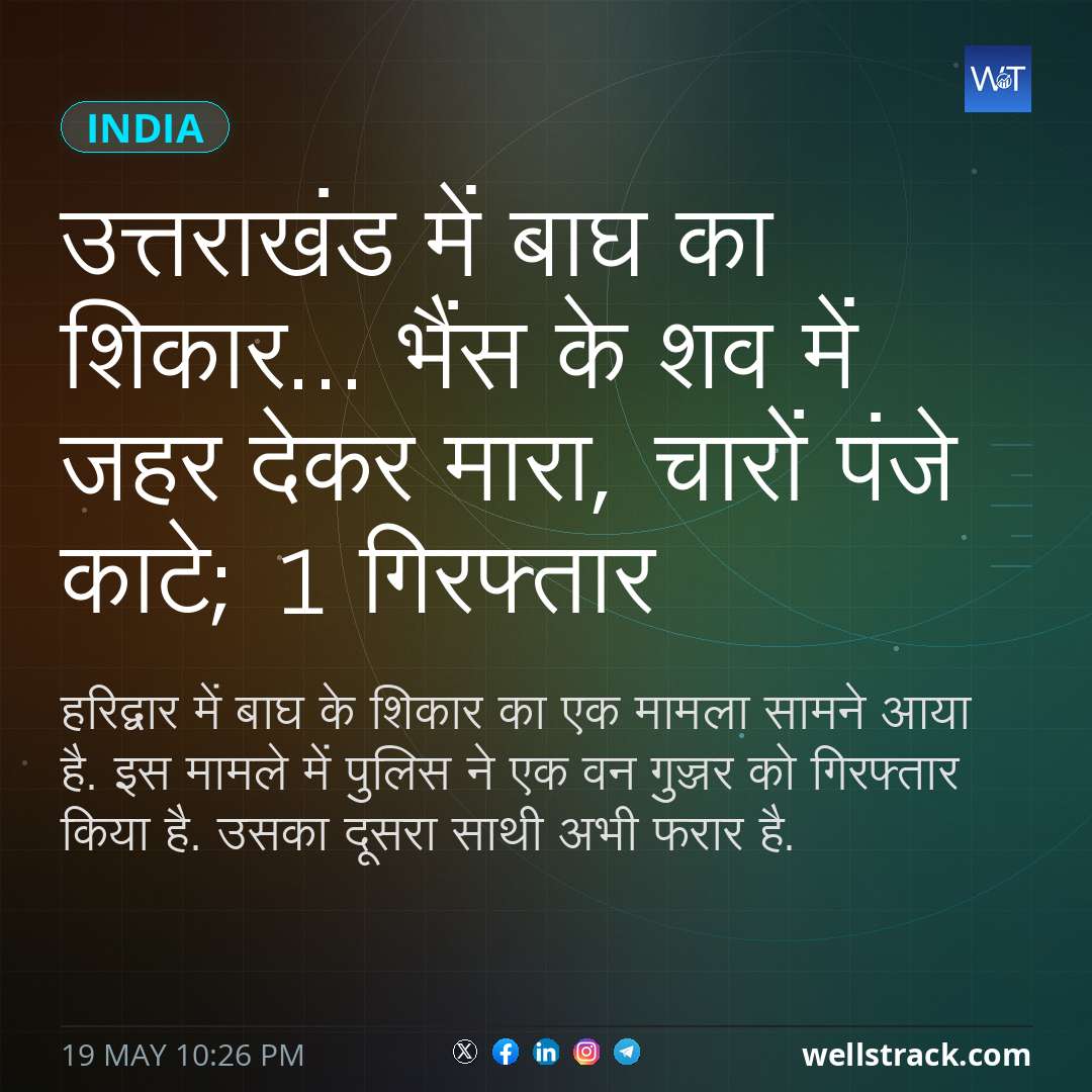 उत्तराखंड में बाघ का शिकार... भैंस के शव में जहर देकर मारा, चारों पंजे काटे; 1 गिरफ्तार — WellsTrack