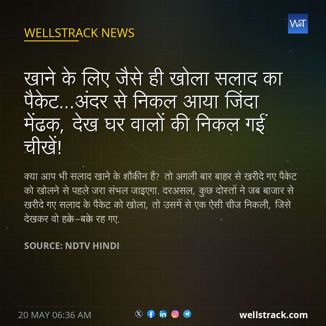 खाने के लिए जैसे ही खोला सलाद का पैकेट...अंदर से निकल आया जिंदा मेंढक, देख घर वालों की निकल गईं चीखें! — WellsTrack