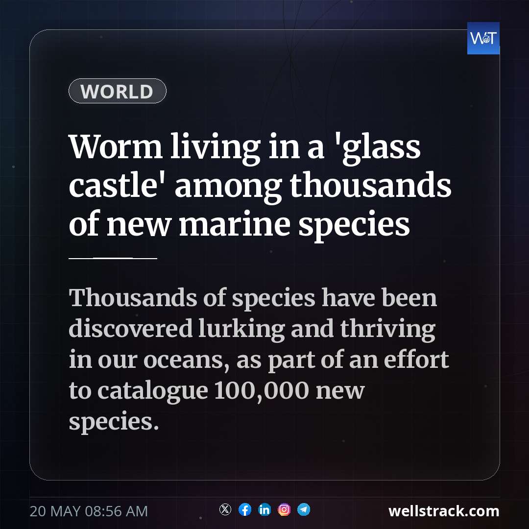 Worm living in a 'glass castle' among thousands of new marine species — WellsTrack