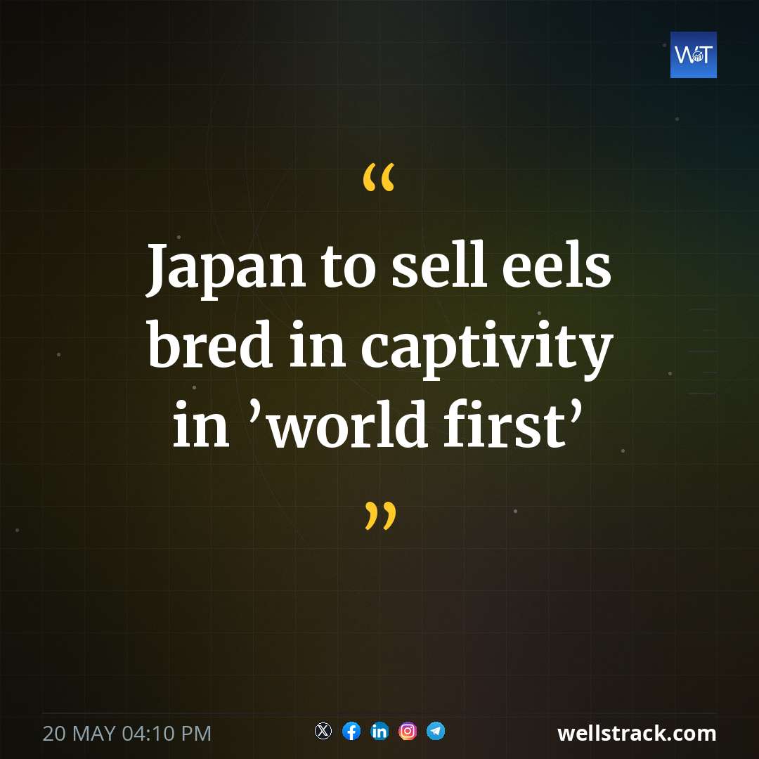 Japan to sell eels bred in captivity in ’world first’ — WellsTrack