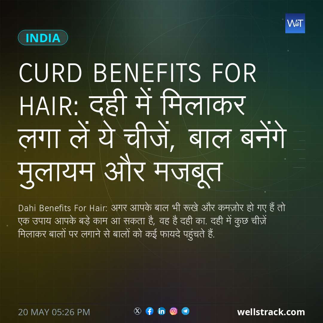 Curd Benefits For Hair: दही में मिलाकर लगा लें ये चीजें, बाल बनेंगे मुलायम और मजबूत — WellsTrack