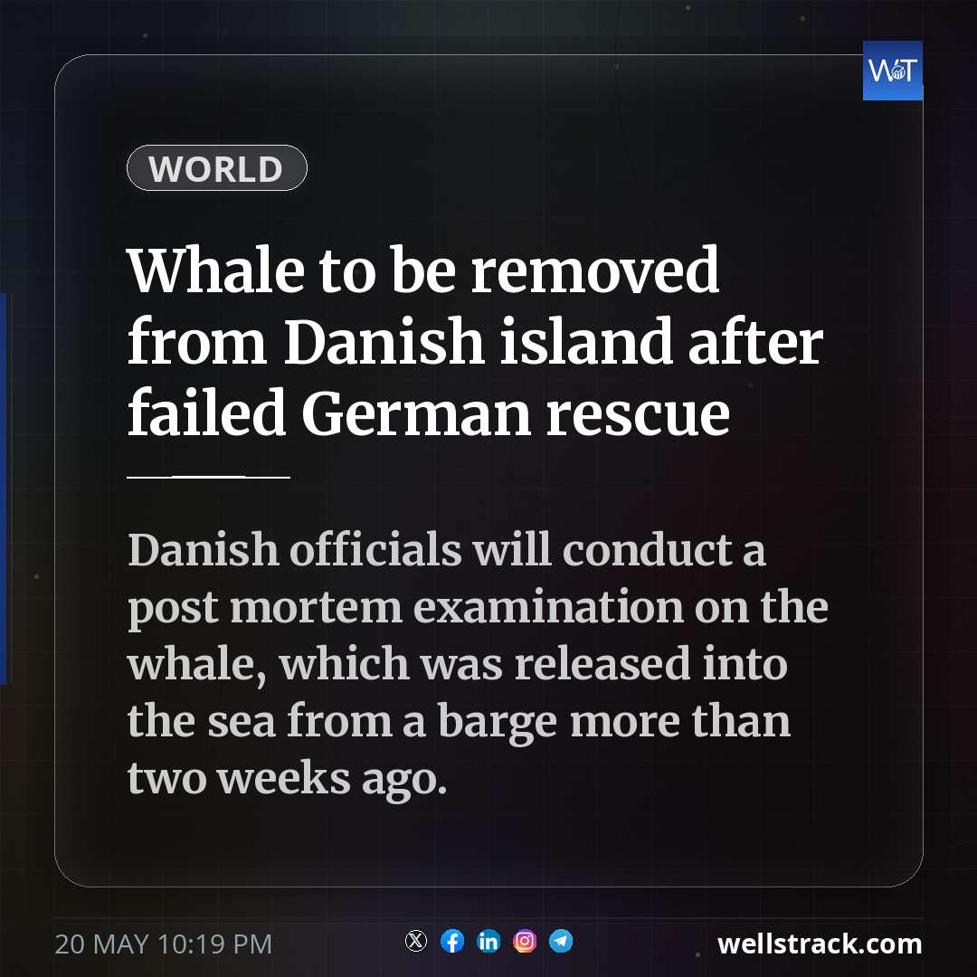 Whale to be removed from Danish island after failed German rescue — WellsTrack