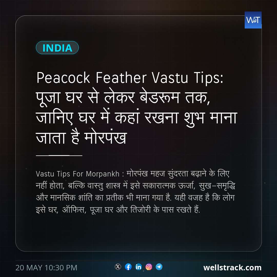 Peacock Feather Vastu Tips: पूजा घर से लेकर बेडरूम तक, जानिए घर में कहां रखना शुभ माना जाता है मोरपंख — WellsTrack