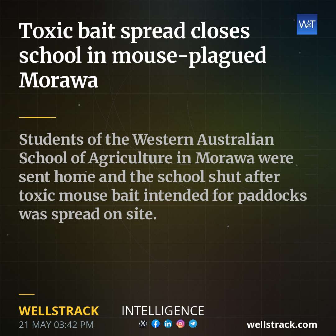 Toxic bait spread closes school in mouse-plagued Morawa — WellsTrack