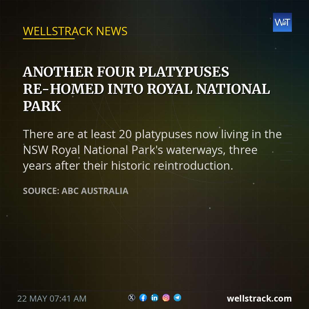 Another four platypuses re-homed into Royal National Park — WellsTrack