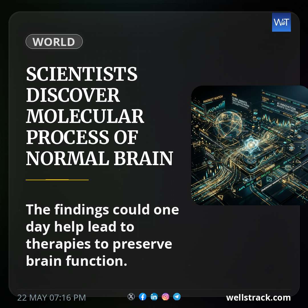 Scientists discover molecular process of normal brain aging — WellsTrack