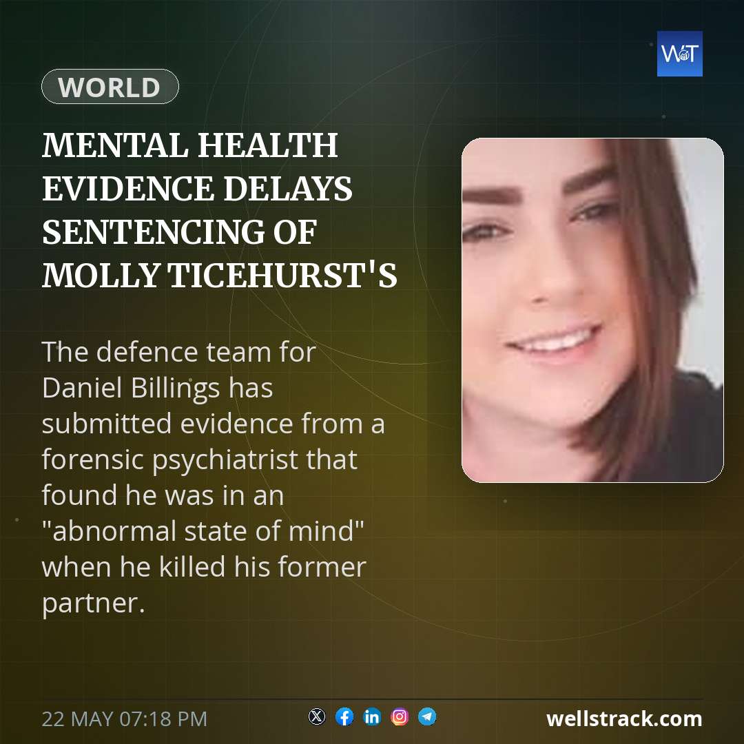 Mental health evidence delays sentencing of Molly Ticehurst's murderer — WellsTrack