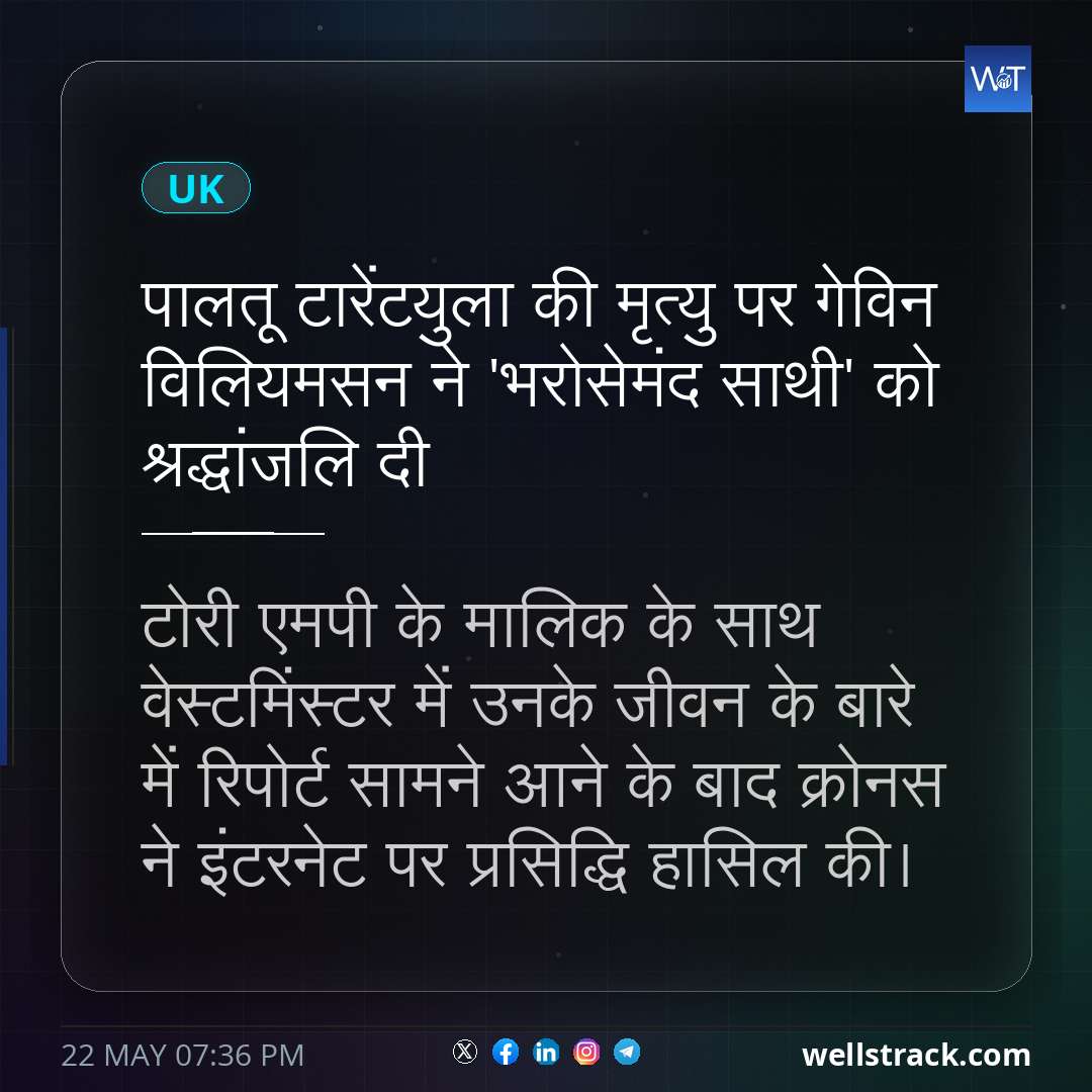 पालतू टारेंटयुला की मृत्यु पर गेविन विलियमसन ने 'भरोसेमंद साथी' को श्रद्धांजलि दी — WellsTrack