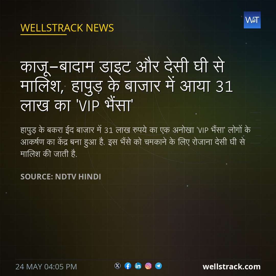 काजू-बादाम डाइट और देसी घी से मालिश, हापुड़ के बाजार में आया 31 लाख का 'VIP भैंसा' — WellsTrack