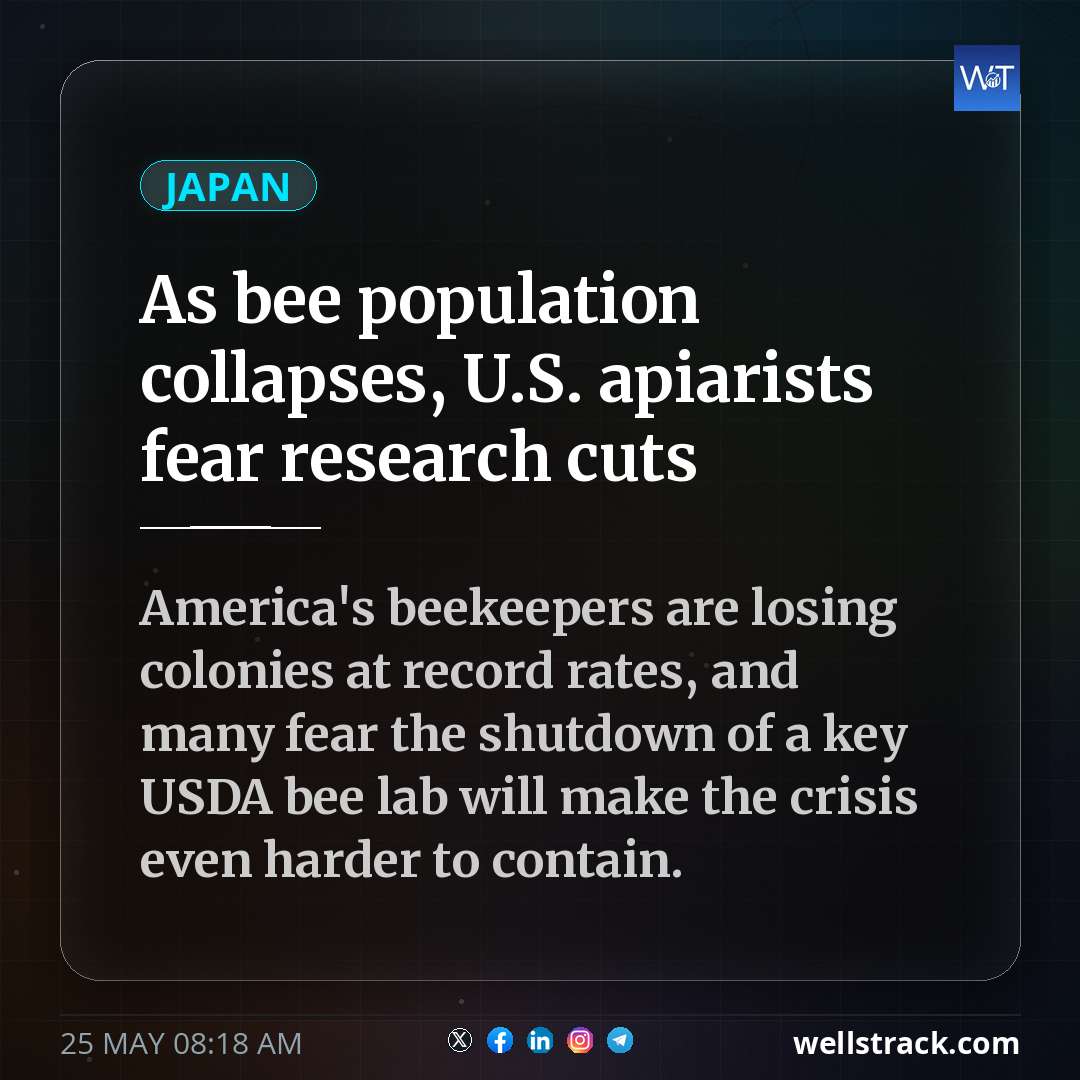 As bee population collapses, U.S. apiarists fear research cuts