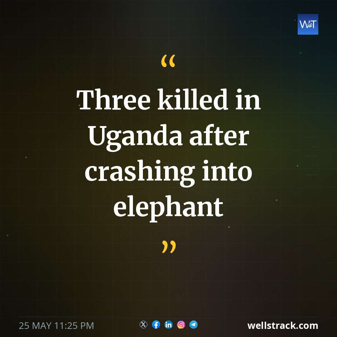 Three killed in Uganda after crashing into elephant