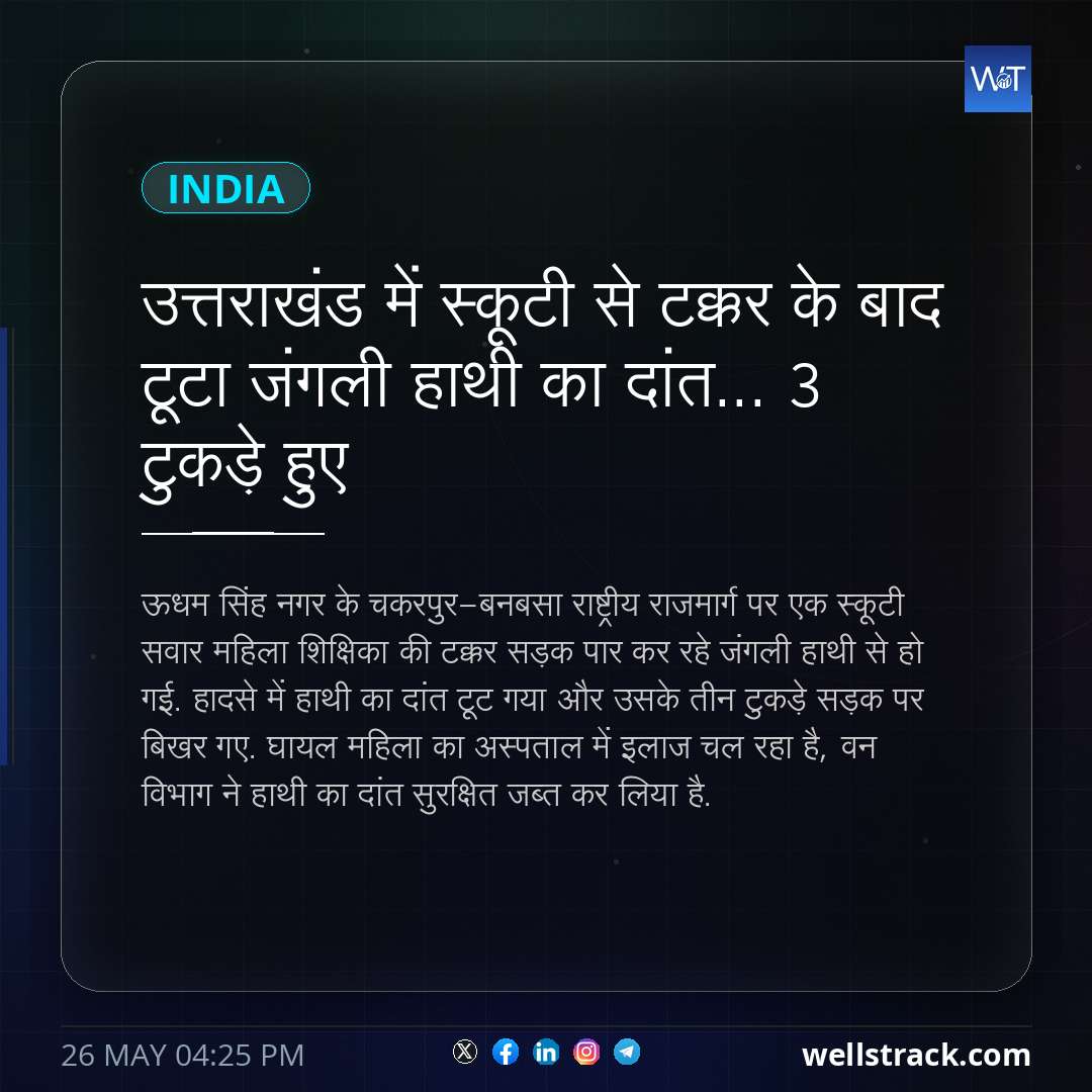 उत्तराखंड में स्कूटी से टक्कर के बाद टूटा जंगली हाथी का दांत... 3 टुकड़े हुए