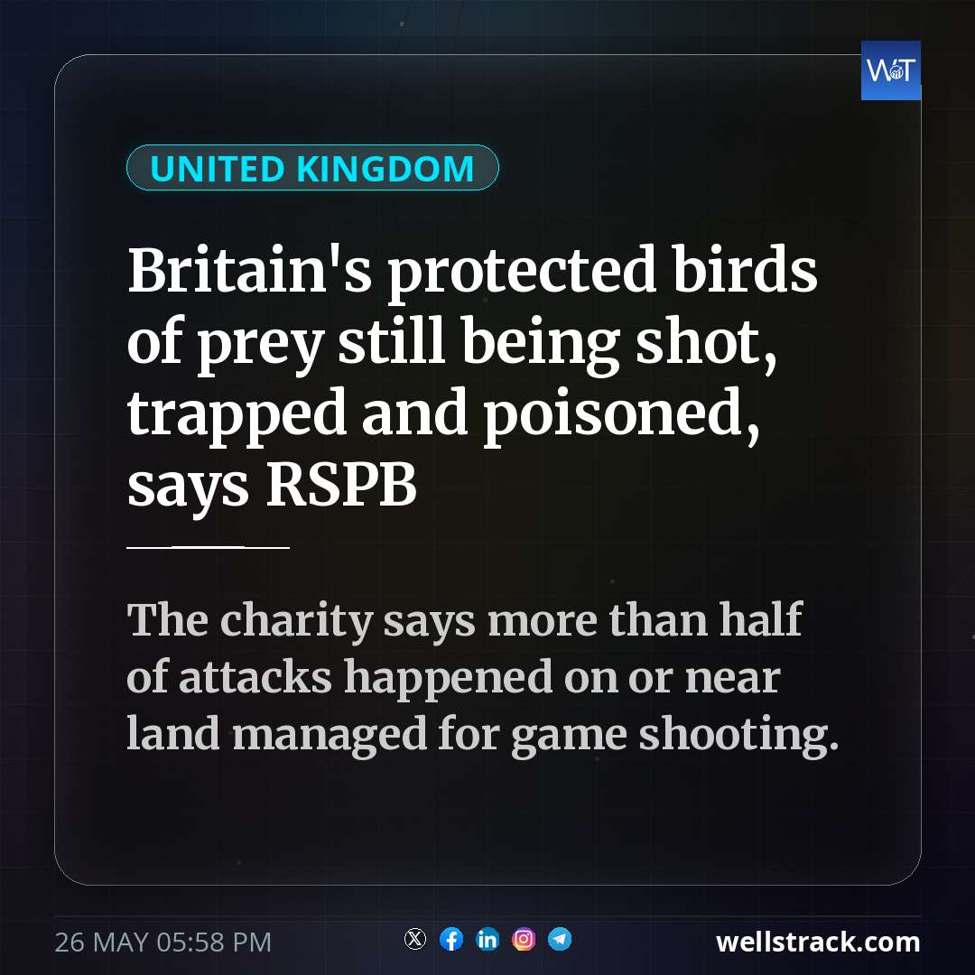 Britain's protected birds of prey still being shot, trapped and poisoned, says RSPB — WellsTrack