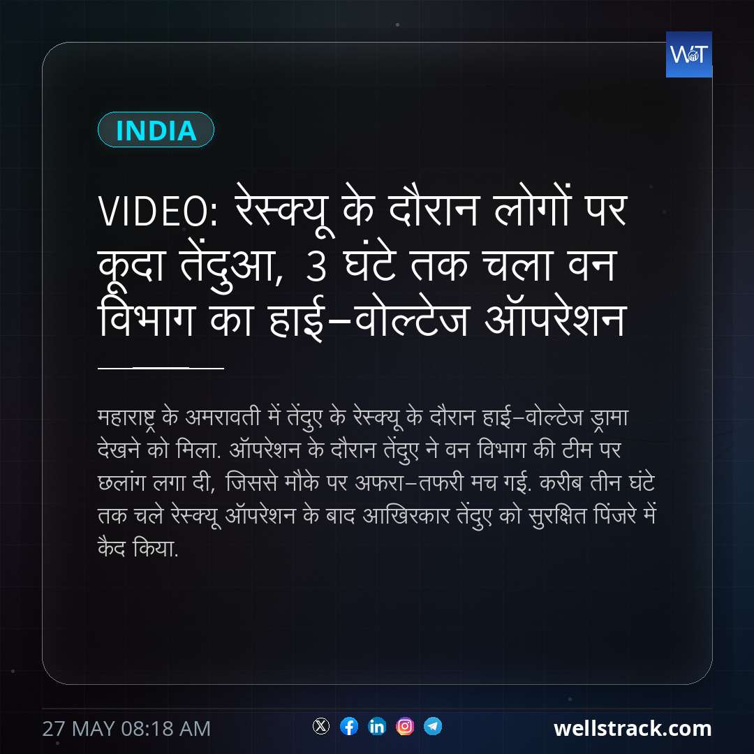 VIDEO: रेस्क्यू के दौरान लोगों पर कूदा तेंदुआ, 3 घंटे तक चला वन विभाग का हाई-वोल्टेज ऑपरेशन — WellsTrack