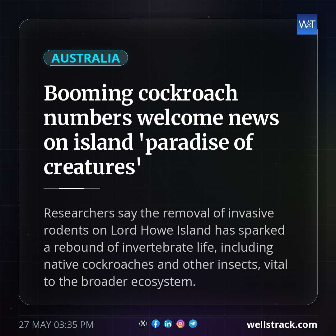 Booming cockroach numbers welcome news on island 'paradise of creatures' — WellsTrack