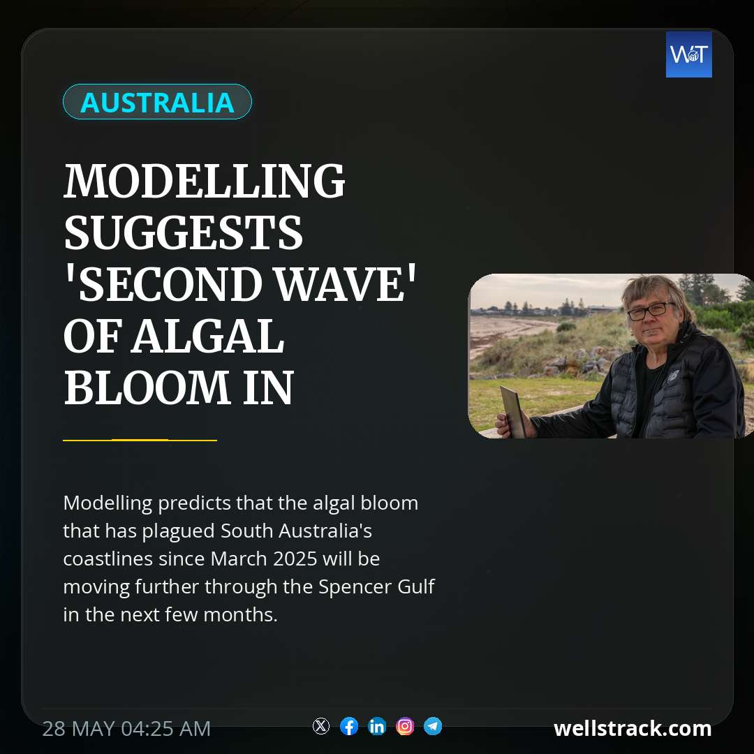 Modelling suggests 'second wave' of algal bloom in Spencer Gulf — WellsTrack