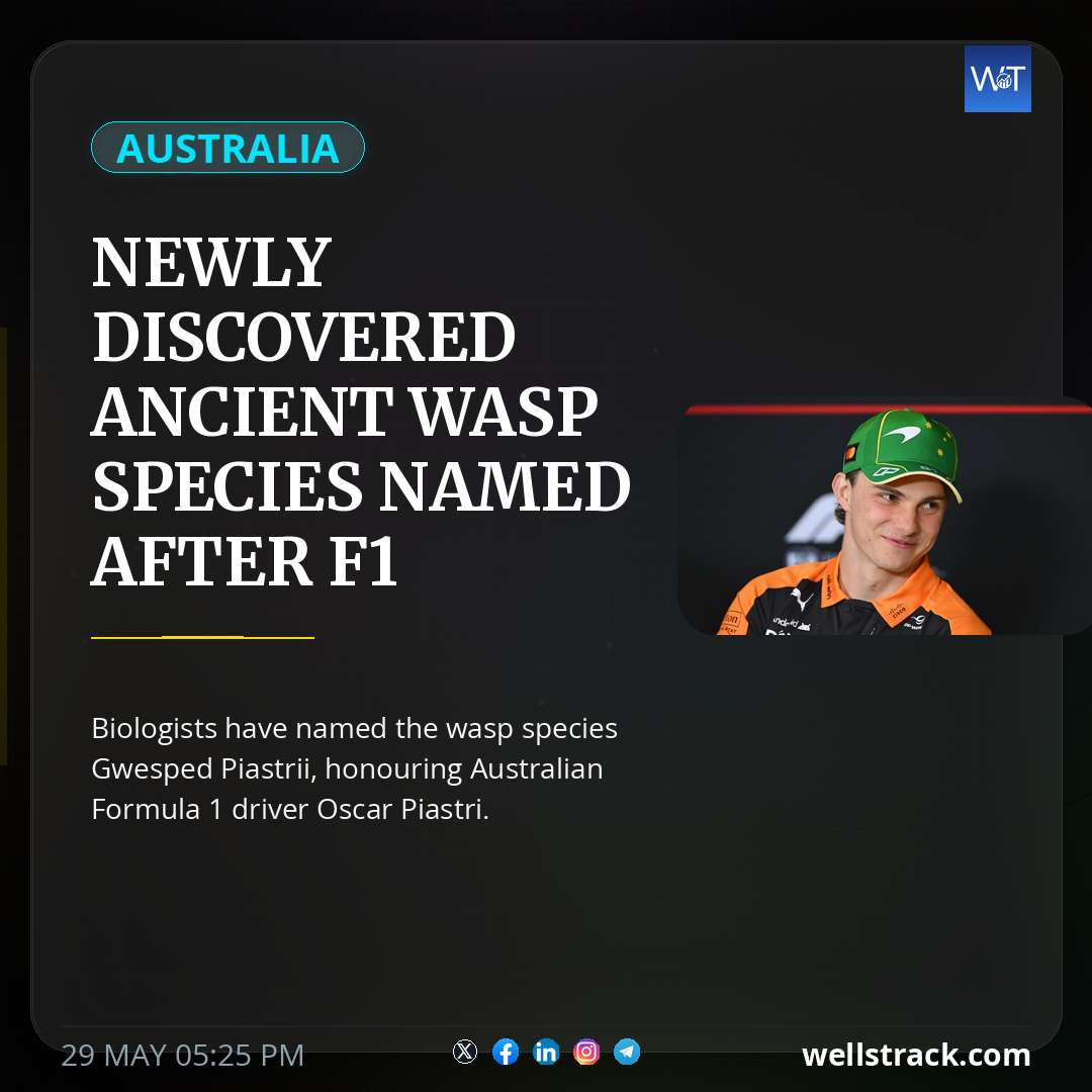 Newly discovered ancient wasp species named after F1 driver Piastri — WellsTrack