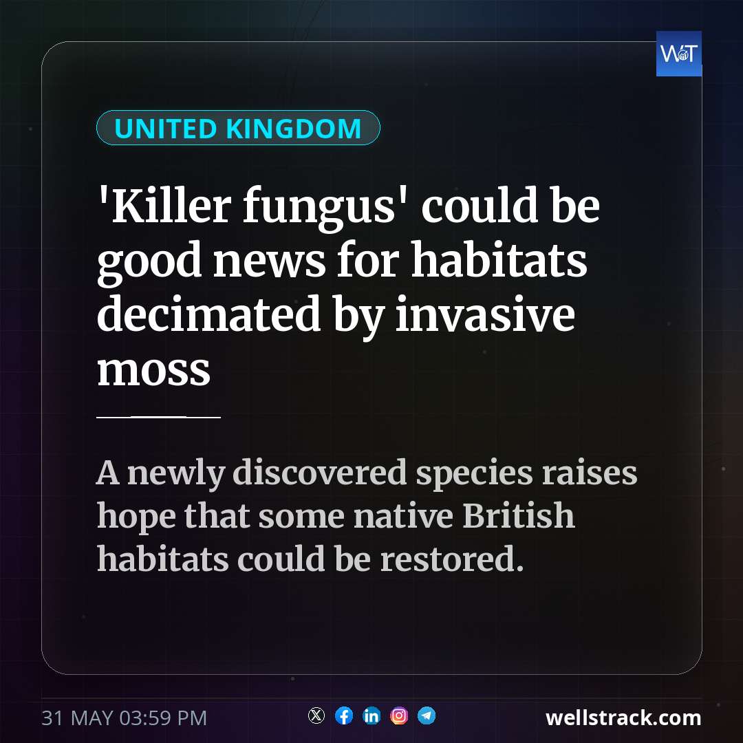 'Killer fungus' could be good news for habitats decimated by invasive moss — WellsTrack