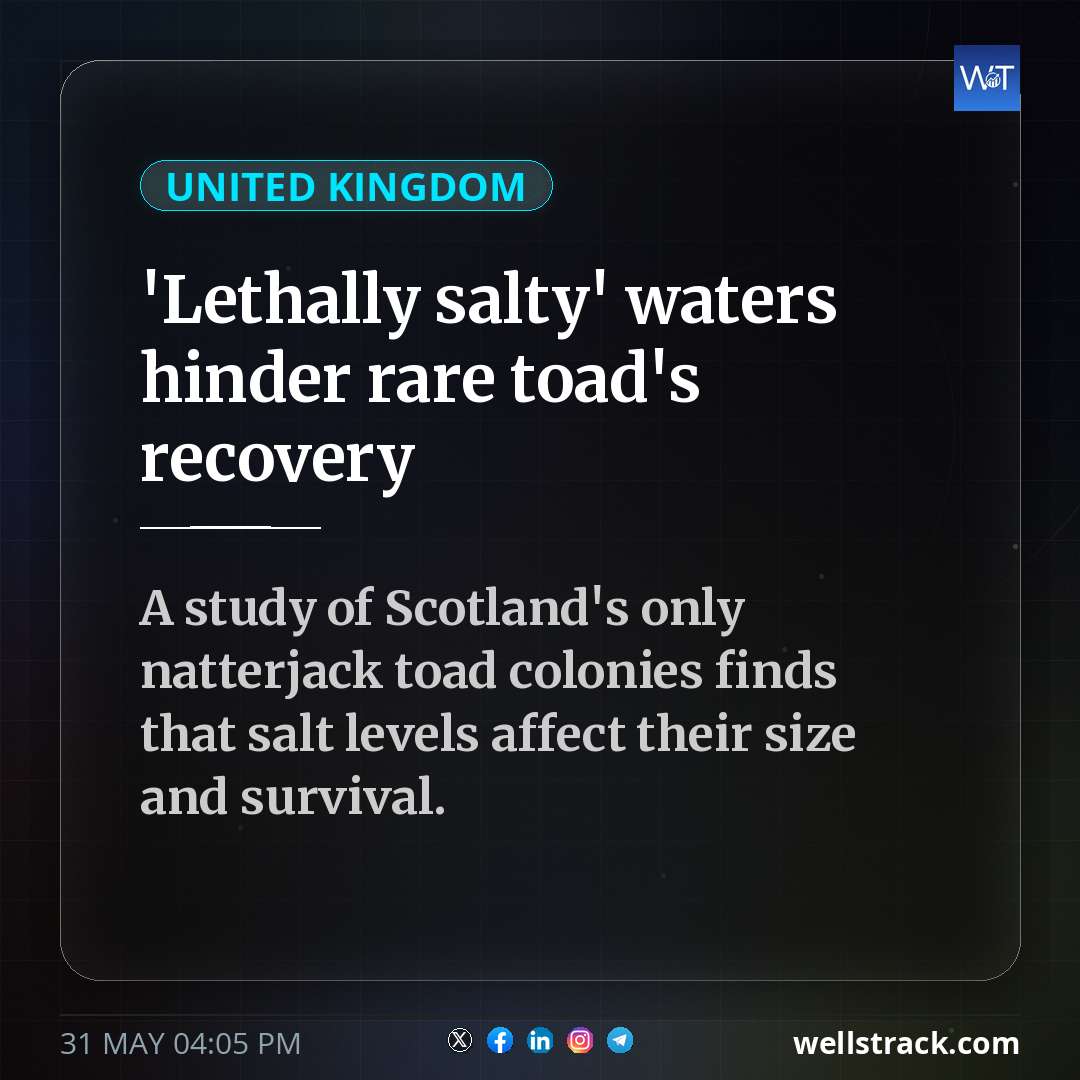 'Lethally salty' waters hinder rare toad's recovery — WellsTrack