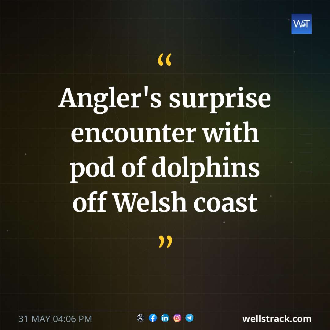 Angler's surprise encounter with pod of dolphins off Welsh coast — WellsTrack
