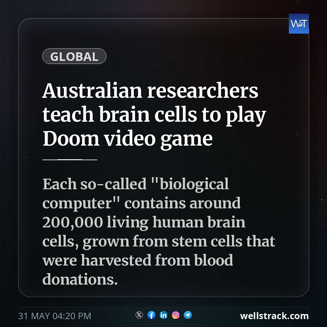 Australian researchers teach brain cells to play Doom video game — WellsTrack