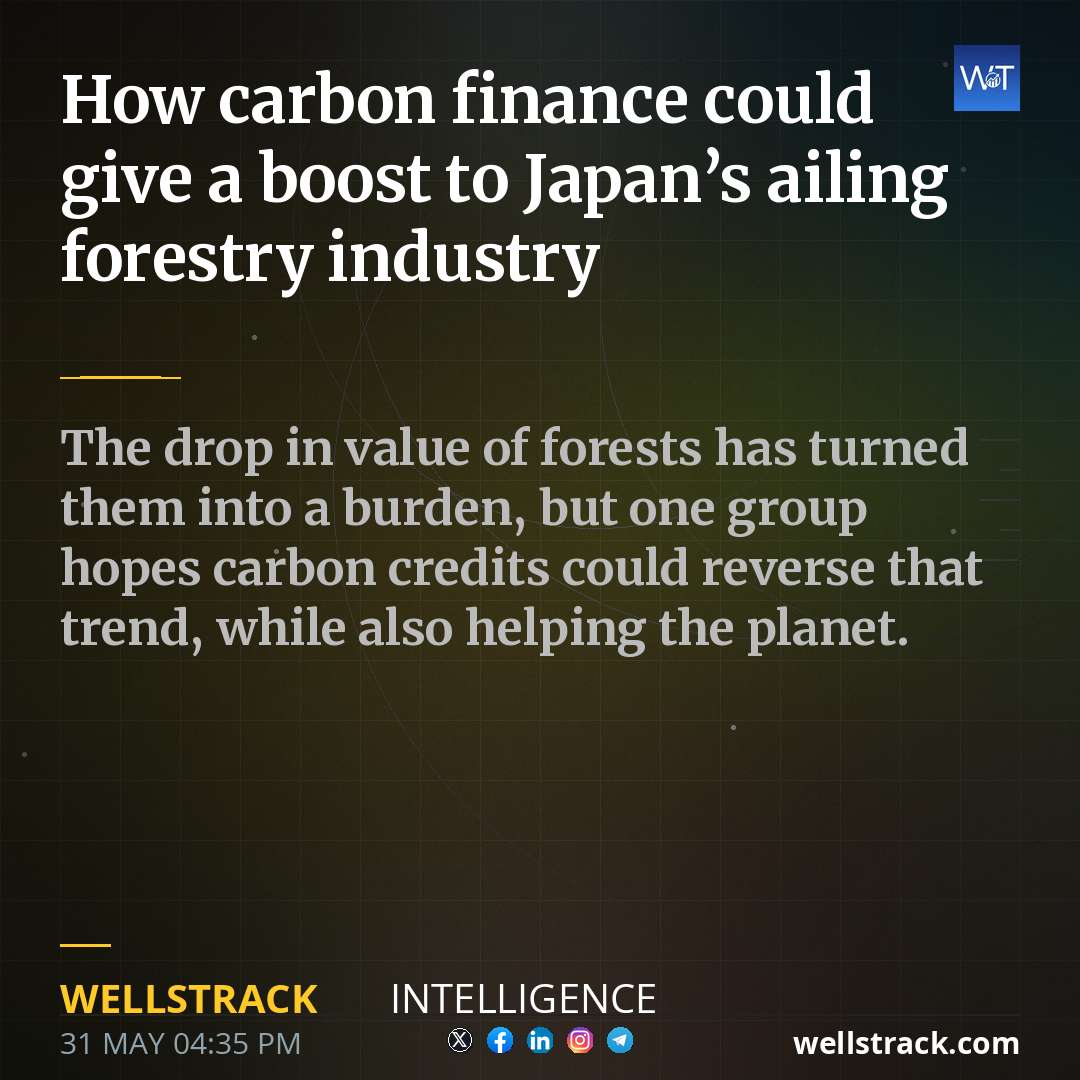 How carbon finance could give a boost to Japan’s ailing forestry industry — WellsTrack